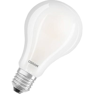 OSRAM 4058075619074 LED-lamp Energielabel D (A - G) E27 Ballon 24 W = 200 W Warmwit (Ø x h) 95 mm x 143 mm 1 stuk(s)