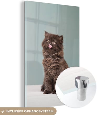 MuchoWow® Glasschilderij 20x30 cm - Schilderij acrylglas - Kitten - Perziche Kat - Tong - Meisjes - Kinderen - Jongens - Kids - Foto op glas - Schilderijen