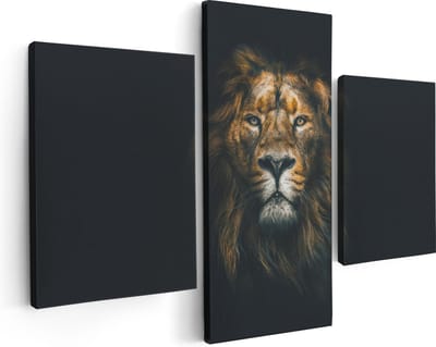 Artaza Canvas Schilderij Drieluik Leeuw - Leeuwenkop - Kleur - 90x60 - Foto Op Canvas - Canvas Print