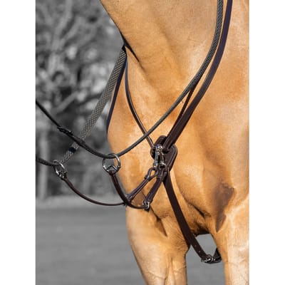 Lemieux Martingaal Kudos Running Bruin-zilver - pony