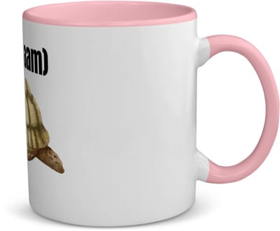 Akyol - schilpad met eigen naam koffiemok - theemok - roze - Schildpad - schildpad liefhebbers - dierenliefhebbers - cadeau - verjaardag - kado - 350 ML inhoud