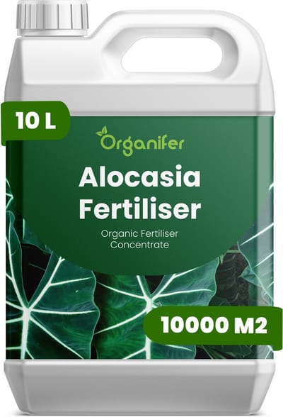 Vloeibare Meststof Voor Alocasia - 10 L Voor 10000 M2 - Npk 2-1-8 - Voor Тropische Bladplanten - Rechtopstaande Groei - Krachtige Wortelgroei - Weinig Licht - Droogtebestendig Waterregulatie - Organifer