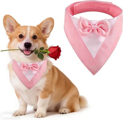 Mok voor Honden met Strik, Hondenhalsband voor Trouwerijen, Kostuum voor Honden bij Feestjes en Verjaardagen (Hals: 35-45cm, Roze)