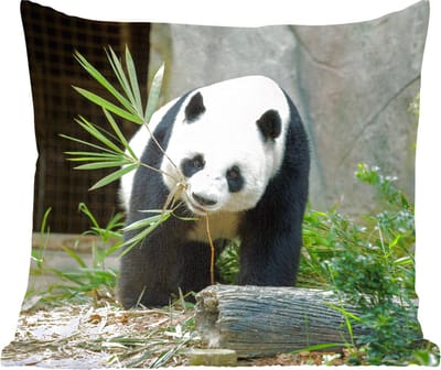 Sierkussens - Kussentjes Woonkamer - 60x60 cm - Panda - Boomstam - Grot