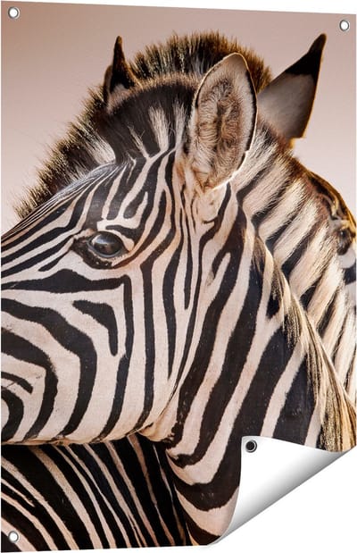 Gards Tuinposter Twee Knuffelende Zebra's - 60x80 cm - Tuindoek - Tuindecoratie - Wanddecoratie buiten - Tuinschilderij
