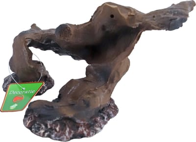De Boon Wortelhout Bruin 23CM