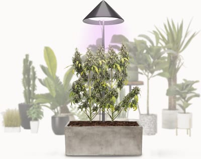 Parus by Venso SUNLiTE Kweeklamp XL 25W gris, LED groeilamp met telescopische staaf, groeilamp voor kamerplanten en groene planten