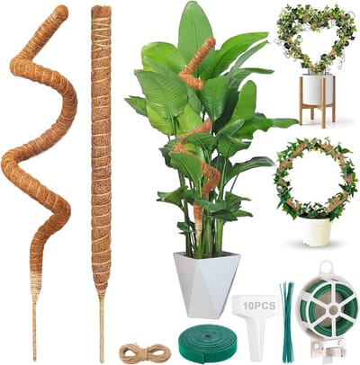 Famanu – Kokosvezel mosstokken voor planten, set van 2 opvouwbare klimpalen van 160 cm voor kamer- en tuinplanten