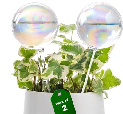 Dailygoods - Bamworld Glazen Zelfwatergevende Spikes Licht Iridescent Regenboog Gradient Globes 2 Stuks Automatische Irrigatie voor Binnen Buiten Planten Watergeefsystemen