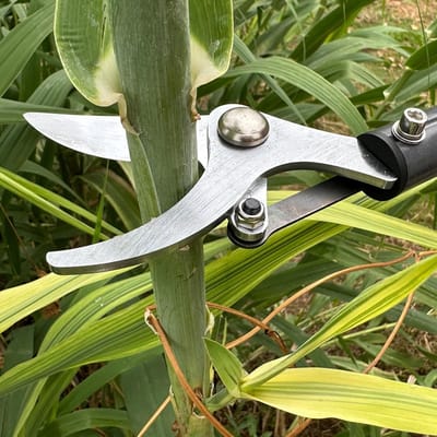 Elektrische Snoeischaar - Accu Takkensnijder - Tuinonderhoud Vereenvoudigen - Borstelloze Motor - 30 Mm Snijdiameter - Zwart