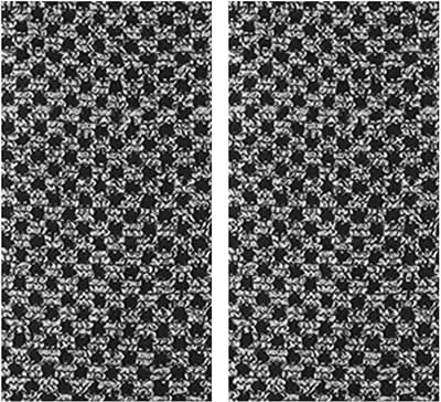 Dailygoods- Badhanddoeken 2 Stuks - Lange Badhanddoeken 24x100 cm - Antibacteriële Badhanddoeken - Koolstofvezel/Polyester - Compact en Draagbaar - Zacht en Huidvriendelijk - Badhanddoek