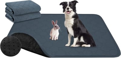 Herbruikbare hondentrainingspads - lekvrije puppyplaspads - grote hondenpads met sterke absorptie - binnen reizen auto - 150 x 90 cm
