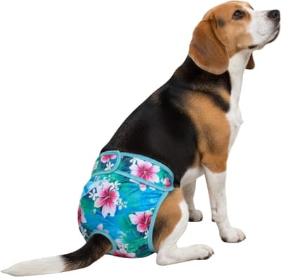 Loopsheidbroekje hond Magnolia Maat L - Herbruikbaar - Hondenbroekje - Bij loopsheid of incontinentie - Taille 36-46 cm - Perfecte pasvorm