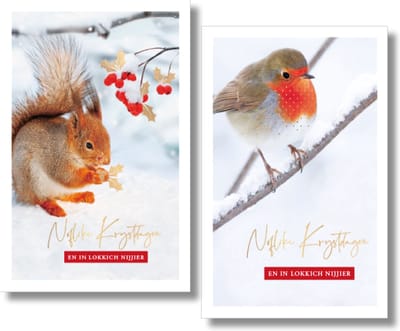 MGPcards - 20 Luxe dubbele wenskaarten - Friese tekst - Kerstkaarten / Nieuwjaar - Foliebewerking - Witte envelop - 10.5 x 16 cm - 2 Motieven per doosje