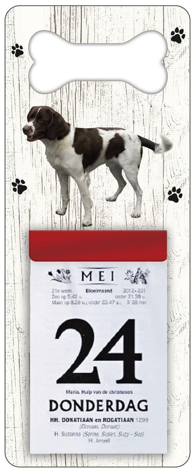 Scheurkalender 2027 Hond: Drentsche Patrijshond