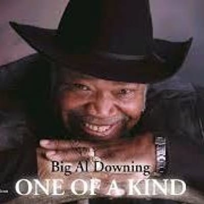 Al Downing - One Of A Kind (CD)