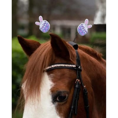 Hoofdsteun accessoire voor paarden QHP Easter
