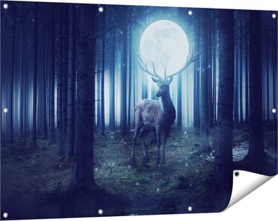 Gards Tuinposter Hert in het Bos tijdens Volle Maan - 120x80 cm - Tuindoek - Tuindecoratie - Wanddecoratie buiten - Tuinschilderij