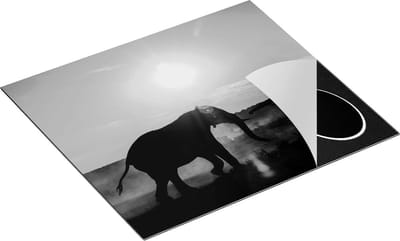 Chefcare Inductie Beschermer Twee Olifanten spelen tijdens Zonsondergang - Zwart Wit - 60x50 cm - Afdekplaat Inductie - Kookplaat Beschermer - Inductie Mat