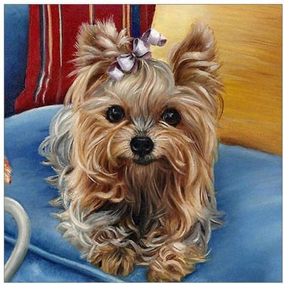 Diamant broderie 5D diamant peinture belle chien animal de compagnie mosaïque photo à la main décor à la maison 30X30CM gray