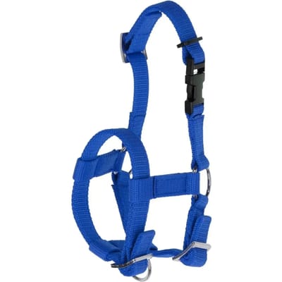 Kerbl Alpaca Halster Blauw