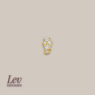 Lev Sieraden - 5 stone Labret piercing - 925 zilver verguld