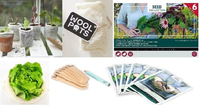 Wool Pots met 6 soorten Bij- en vlinderbloemen zaden set