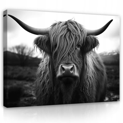 WALLARENA - Canvas schilderij - 100x70 cm - moderne Schotse koe muurdecoratie voor slaapkamer en salon
