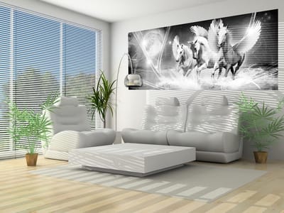 Winged Horse Pegasus Black Photo Wallcovering