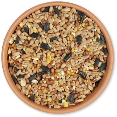 Gifts4Nature 5kg Tuinvogelvoer Zadenmix - Vogelvoer voor Buitenvogels - Strooivoer - Geproduceerd in Europa - 10,91% eiwit