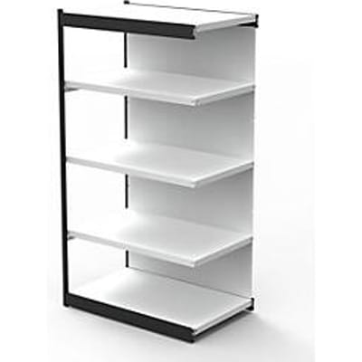 Stalen rek PROGRESS 2000, stellingsectie, achterwand, H 1900 x B 1000 x D 400 mm, zilveren frame