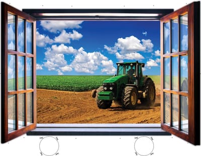 Nature window wallcovering