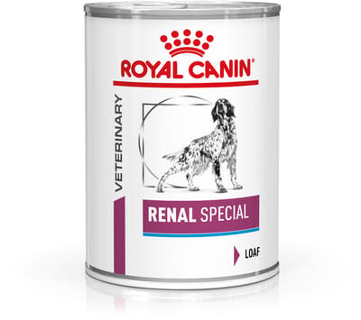 Royal Canin Veterinary Diet Renal Special Wet - Hondenvoer - 1 x 410 g