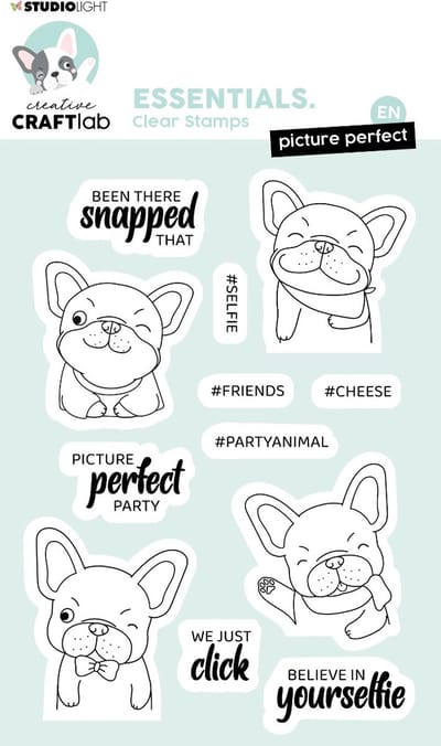 Clear stamps Picture perfect Buddy - Essentials nr. 221