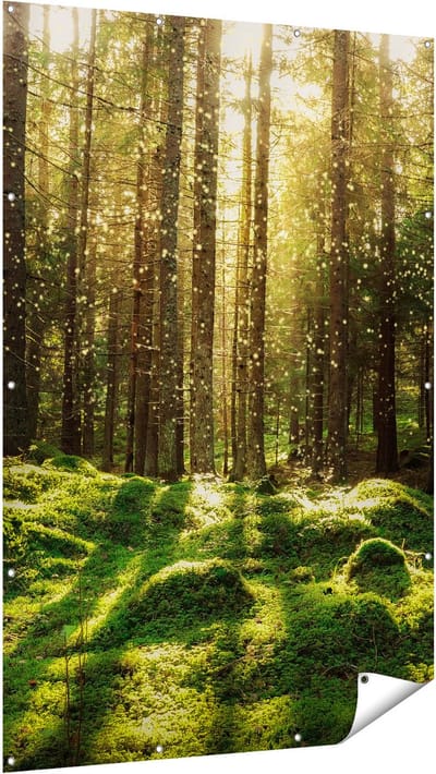 Gards Tuinposter Bos met Groen Mos op de Grond - 120x180 cm - Tuindoek - Tuindecoratie - Wanddecoratie buiten - Tuinschilderij