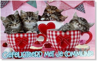 Communie Wenskaart Kittens - 12x17cm - Gevouwen kaart inclusief envelop - Communiekaart