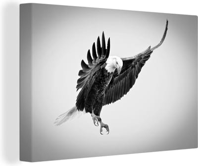 Canvas schilderij 150x100 cm - Wanddecoratie Adelaar in de aanval fotoprint - zwart wit - Muurdecoratie woonkamer - Slaapkamer decoratie - Kamer accessoires - Schilderijen