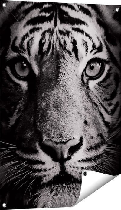 Gards Tuinposter Tijgerkop - Tijger - Zwart Wit - 60x90 cm - Tuindoek - Tuindecoratie - Wanddecoratie buiten - Tuinschilderij