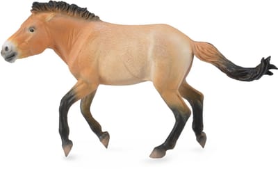 COLLECTA Figurine - Przewalski Hengst - (Xl) - Paarden - Handgeschilderd - Miniatuur