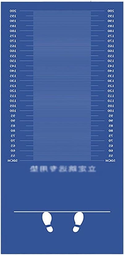 Springmat - Trainingsmat Verspringen - Springvaardigheid Meten - Met Nauwkeurige Schaal - 2.5 x 0.9m - Blauw