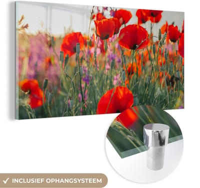 MuchoWow® Glasschilderij 40x20 cm - Schilderij acrylglas - Klaproos - Bloemen - Rood - Paars - Weide - Foto op glas - Schilderijen