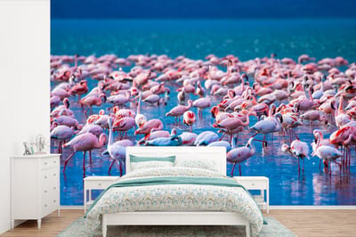 Behang - Fotobehang Flamingo - Water - Tropisch - Water - Roze - Breedte 330 cm x hoogte 220 cm