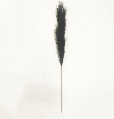 Pampas gras 130 cm Zwart kunstplant Buitengewoon de Boet