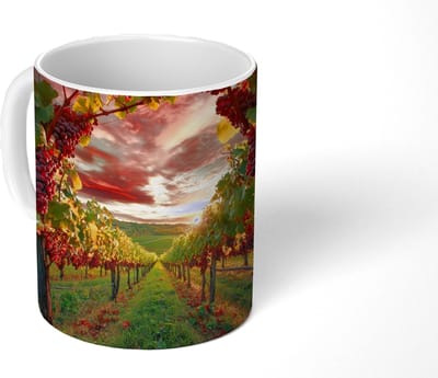 Mok - Koffiemok - Wijngaard - Druiven - Zonsondergang - Mokken - 350 ML - Beker - Koffiemokken - Theemok