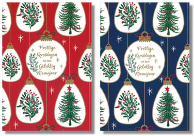 MGPcards - 10 Dubbele wenskaarten - Kerstkaarten / Nieuwjaar - Witte envelop - 10 x 14 cm - 2 Motieven per doosje