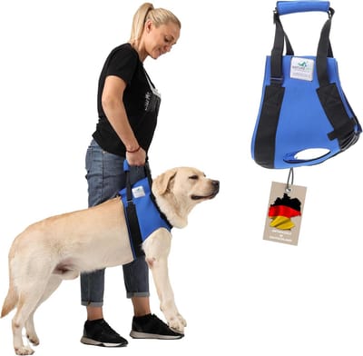 Draagriem voor Honden: Mobiliteitshulp voor Oudere, Zieke of Herstellende Honden (XXL)