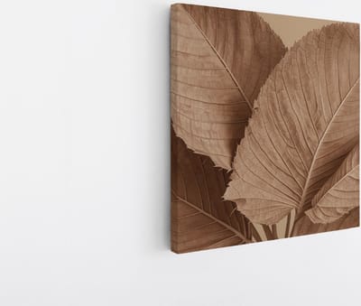 Saammp Canvas Schilderij - Bruine bladeren - Natuur - 20x20 - Foto op canvas - Wanddecoratie - Muurdecoratie Woonkamer - Kantoor Decoratie