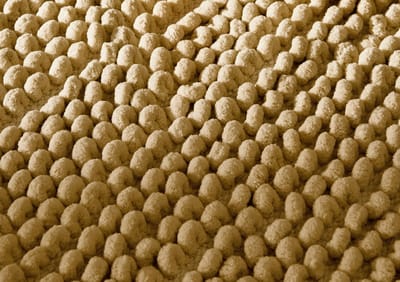 Zohome Badmat Fabrizio - Forest Sand - Badkamermat - Bidetmat - Badmat Antislip - 40% Katoen 60% Polyester - 60x60 cm