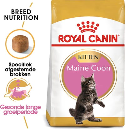 2x ROYAL CANIN Maine Coon Kitten 4 kg