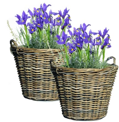 Mega Collections Plantenmand - 2x - bloemenmand - D45 x H35 cm - rond - rotan gevlochten - rieten mand